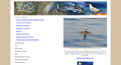 Desktop Screenshot of canariasconservacion.org